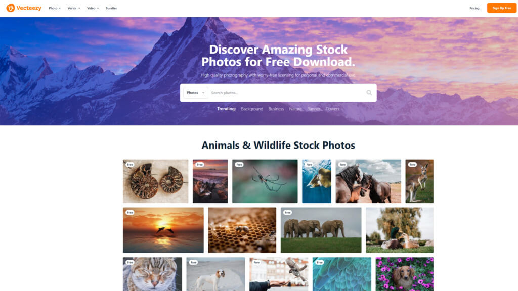 Top 10 stock image websites you need to know in 2022 - 1