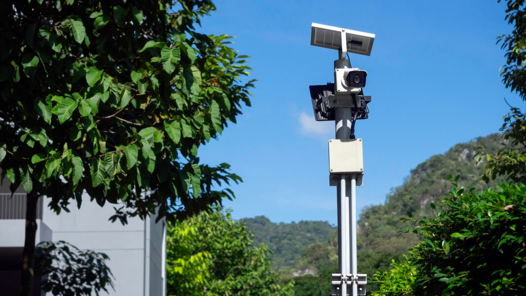 Are AI cameras redefining the landscape of nature surveillance