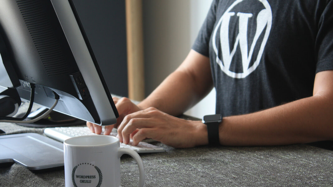 WordPress 6.4 boosts website speed through enhanced script loading