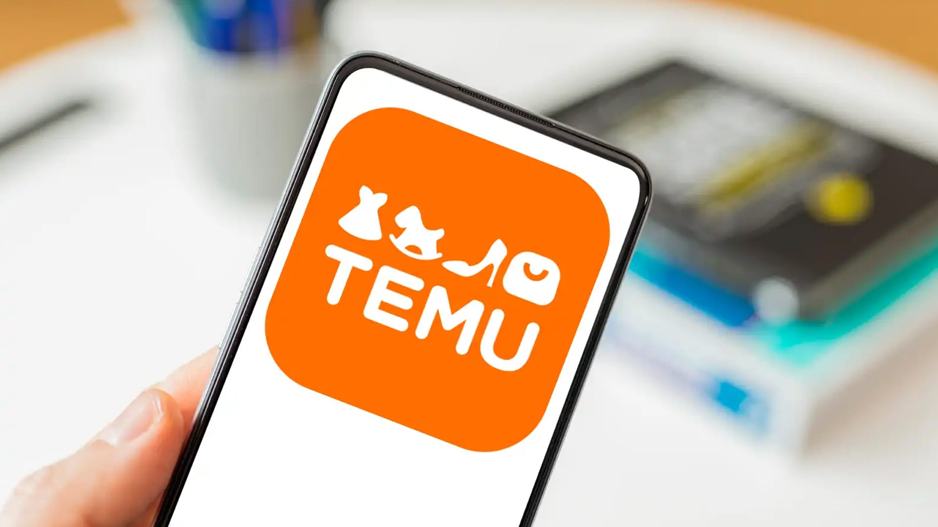 Temu challenges US dollar stores in the festive shopping race - Tech ...