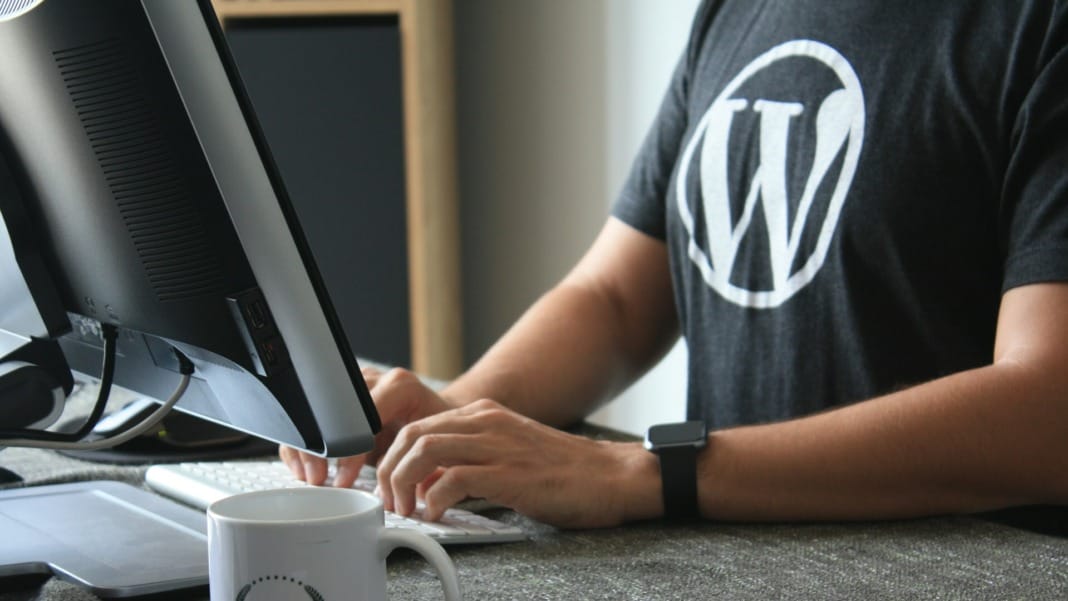 WordPress 6.5 launch postponed due to new feature bugs