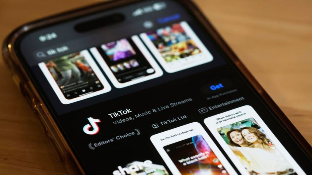 TikTok asks court to delay looming app ban