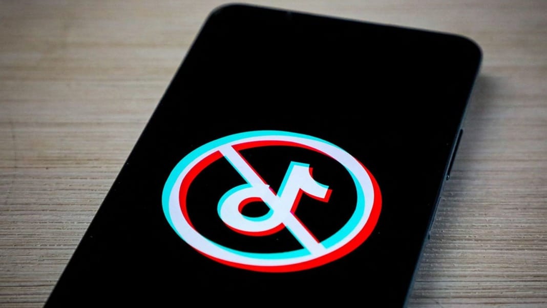 How to download your TikTok videos and data before the ban