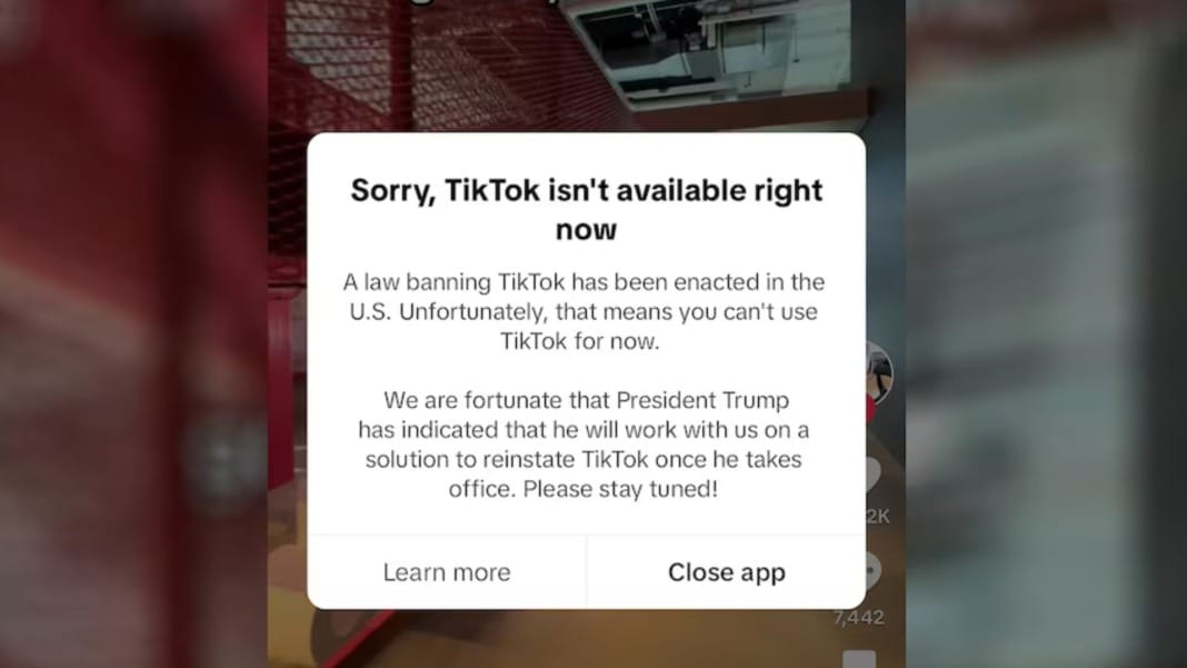 TikTok goes dark in the US as federal ban takes effect